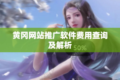 黄冈网站推广软件费用查询及解析