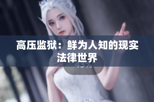 高压监狱：鲜为人知的现实法律世界
