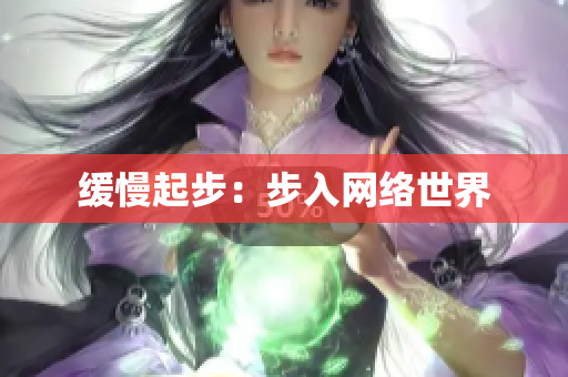 缓慢起步：步入网络世界