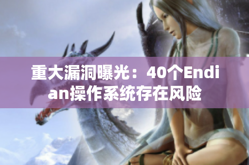 重大漏洞曝光：40个Endian操作系统存在风险