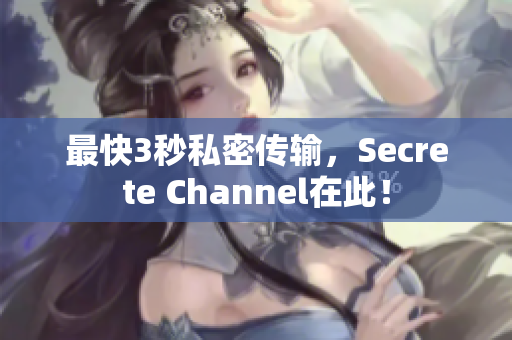 最快3秒私密传输，Secrete Channel在此！