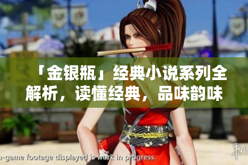 「金银瓶」经典小说系列全解析，读懂经典，品味韵味