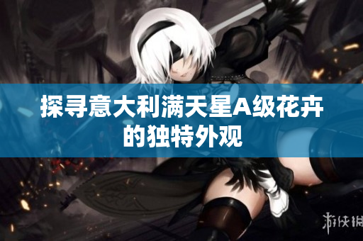 探寻意大利满天星A级花卉的独特外观