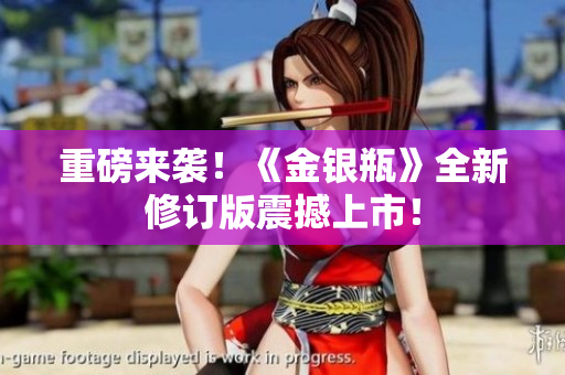 重磅来袭！《金银瓶》全新修订版震撼上市！