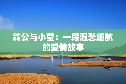 翁公与小莹：一段温馨细腻的爱情故事