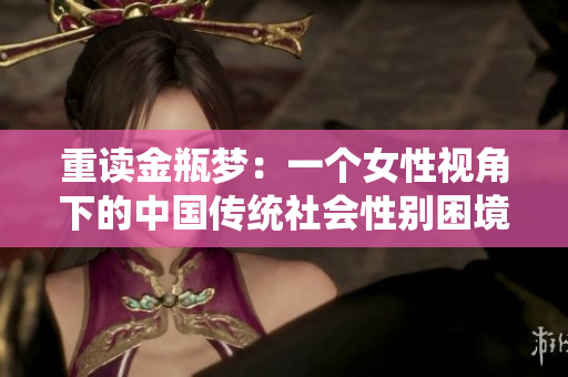 重读金瓶梦：一个女性视角下的中国传统社会性别困境