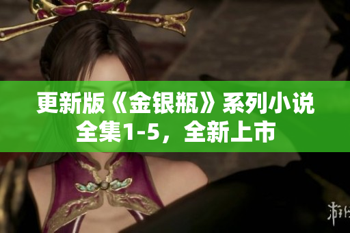更新版《金银瓶》系列小说全集1-5，全新上市