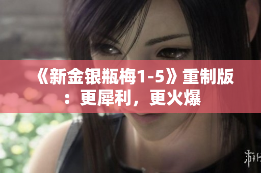 《新金银瓶梅1-5》重制版：更犀利，更火爆