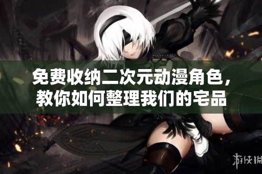 免费收纳二次元动漫角色，教你如何整理我们的宅品
