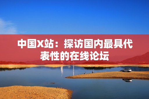 中国X站：探访国内最具代表性的在线论坛